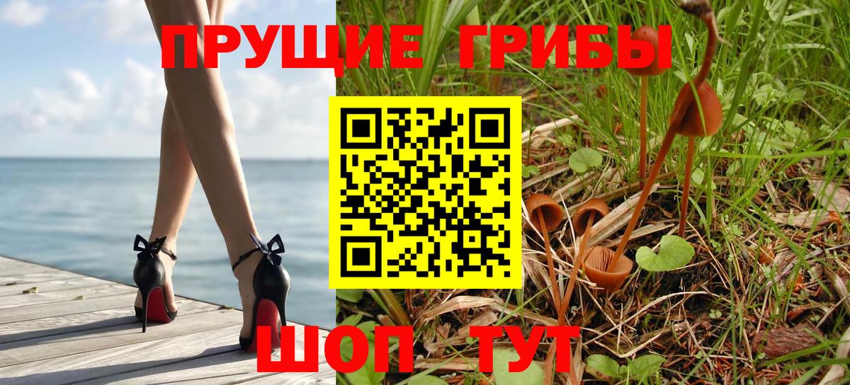 Галлюциногенные грибы Magic Shrooms  Прокопьевск  Галлюциногенные грибы мухоморы 
