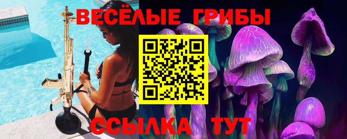 Галлюциногенные грибы Psilocybine cubensis  Галлюциногенные грибы ЛСД  Прокопьевск  Вход с VPN 