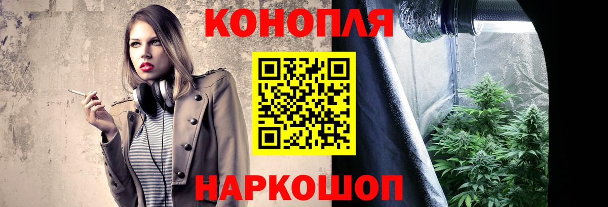 Конопля сатива Прокопьевск